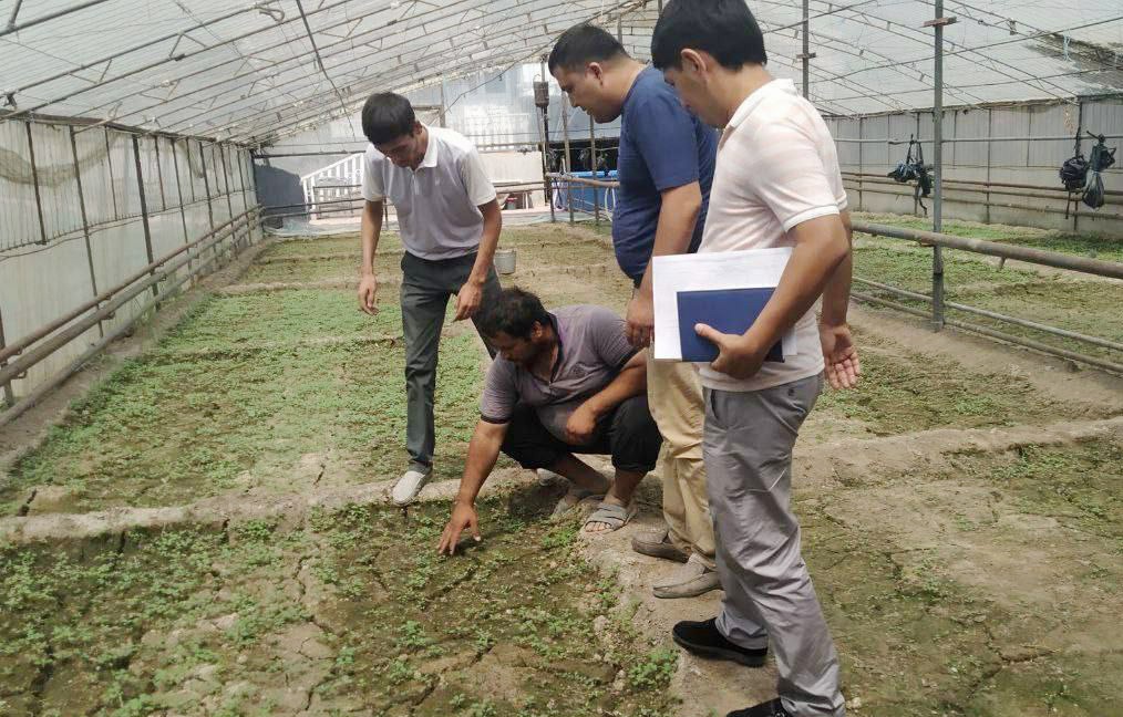 3-photo_2022-09-19_12-08-09