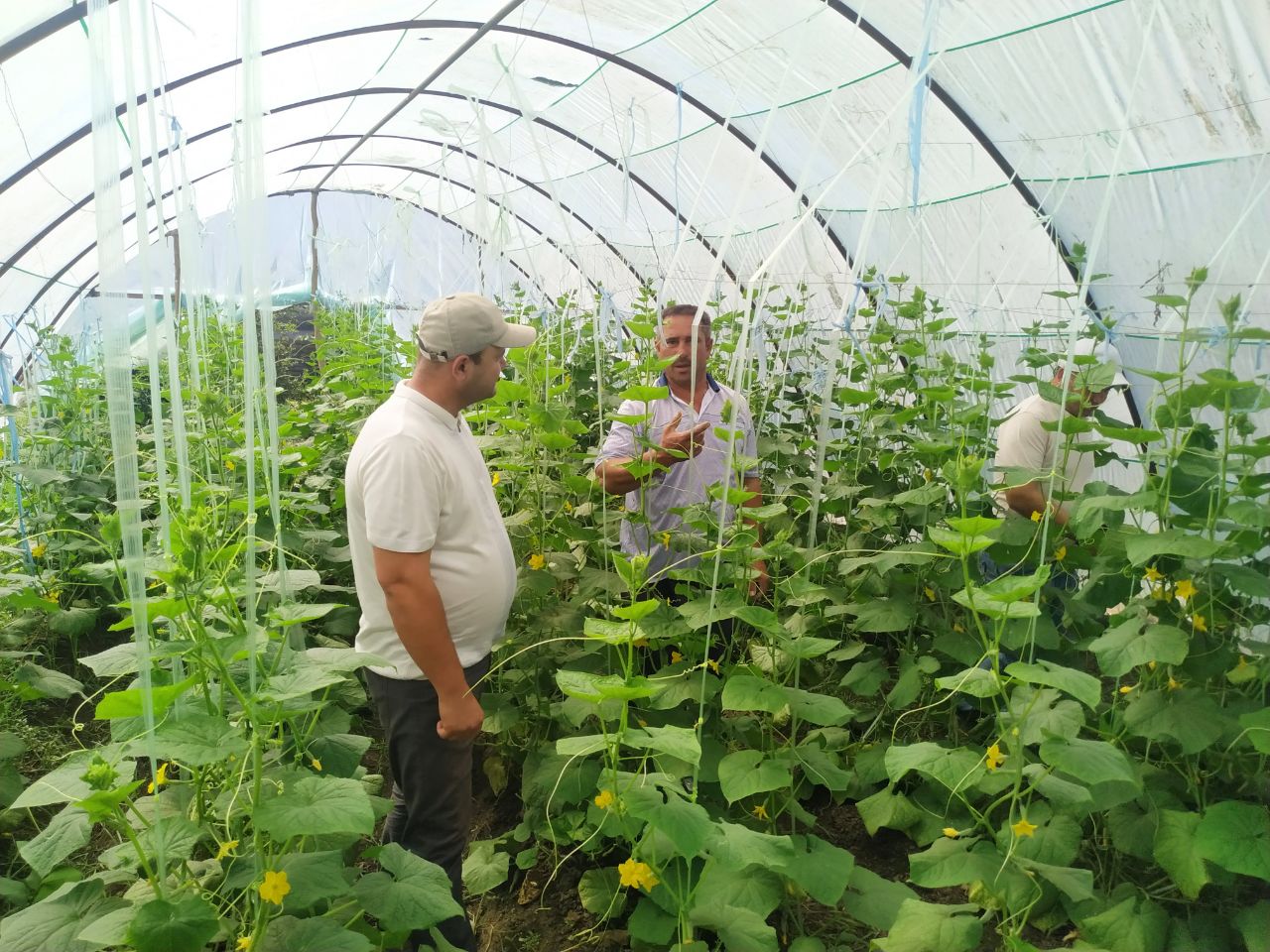 3-photo_2022-09-21_16-25-15