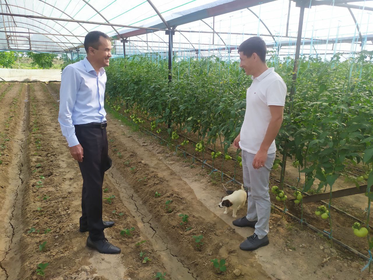 3_photo_2022-10-20_16-50-45