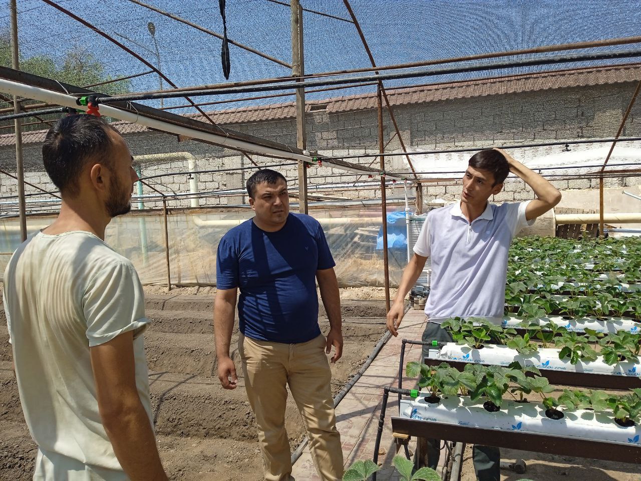 7-photo_2022-09-19_12-07-29