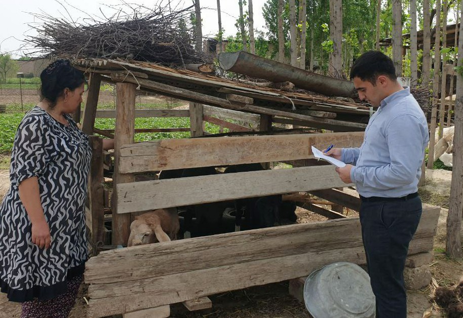 7-photo_2022-10-20_15-35-06