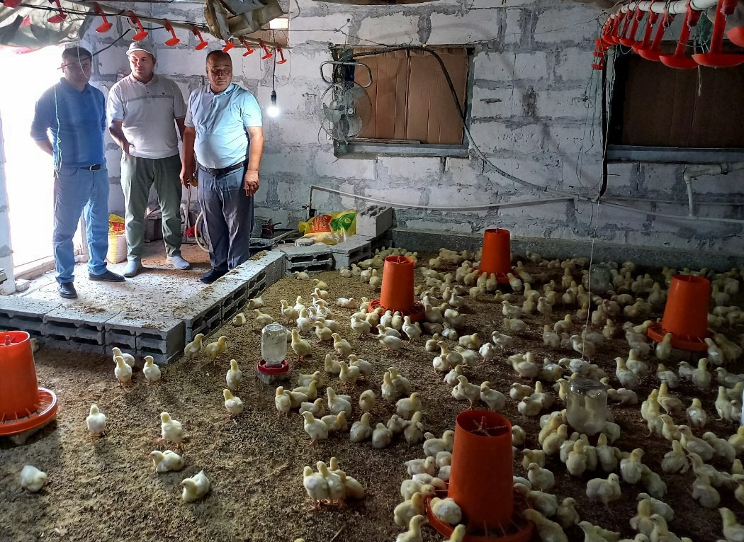 8-photo_2022-09-14_14-28-18