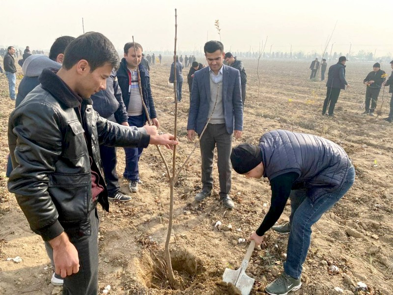 yaaashhshshshsmsmsm_16_11_21_ichi1