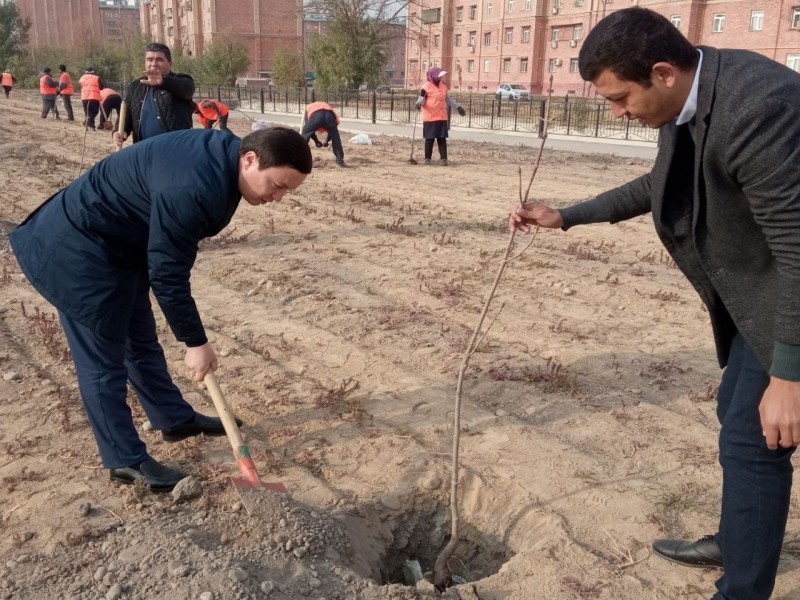 yaaashhshshshsmsmsm_16_11_21_ichi3