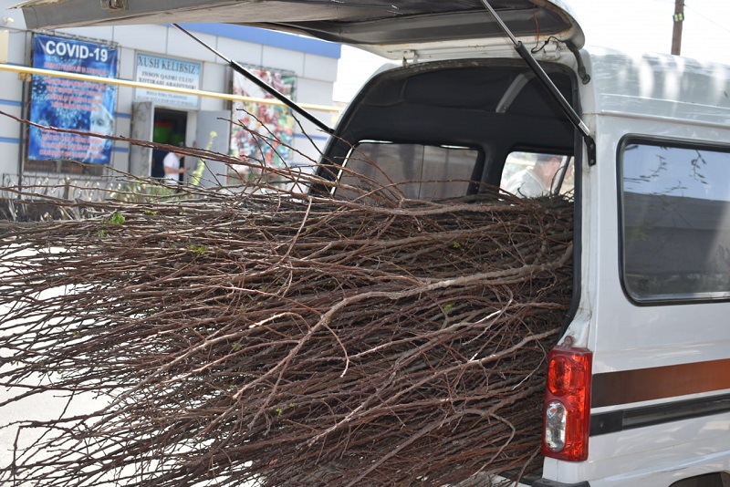 yash_mak_14_04_22_ici1