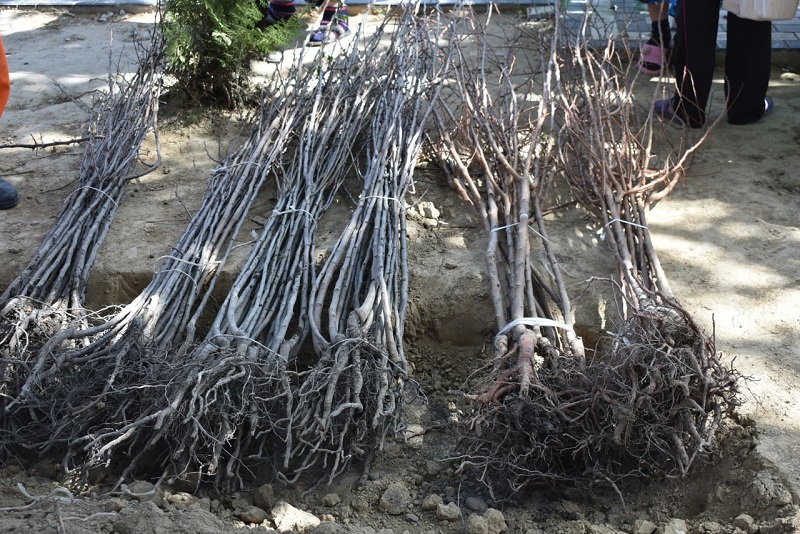 yash_mak_14_04_22_ici3