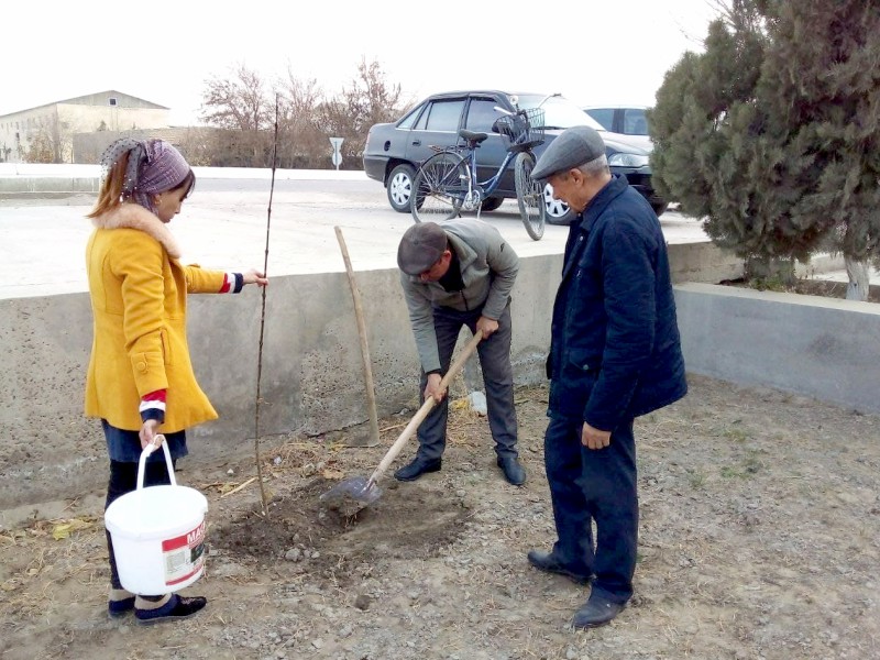 yashil_2911_21_ichi1