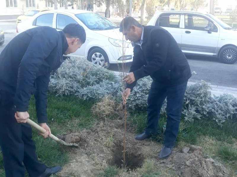 yashil_2911_21_ichi2