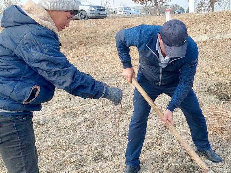 yashil_2911_21_ichi3