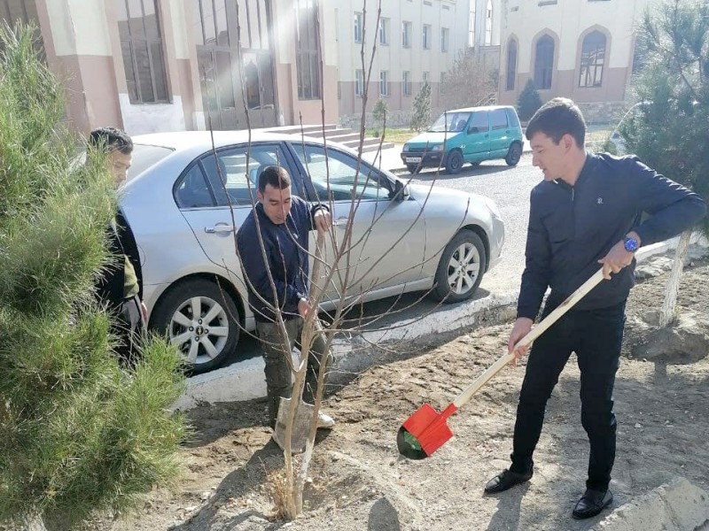 yashil_2911_21_ichi4