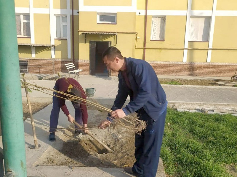 yashil_2911_21_ichi5