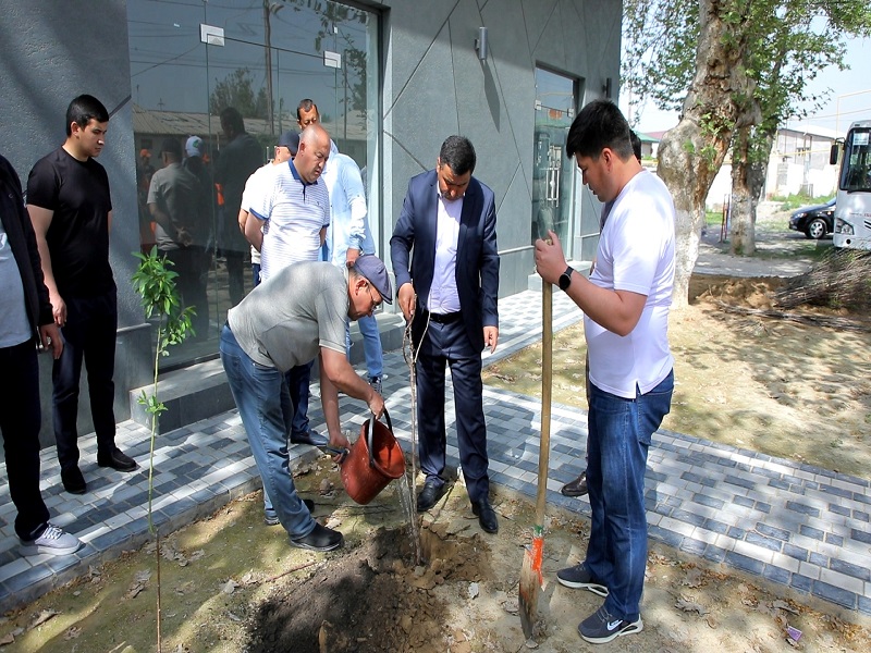 yashill_13_04_22_ici2