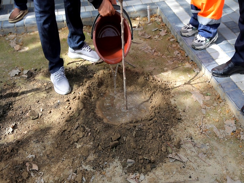 yashill_13_04_22_ici3