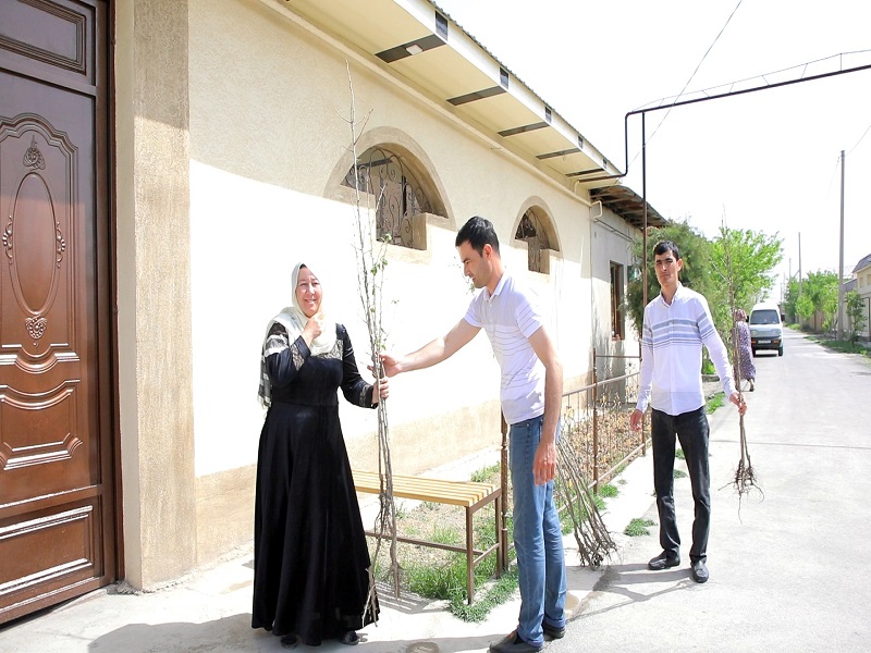 yashill_13_04_22_ici7