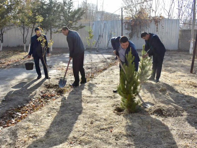 yashilmakon_11_11_21_ichi3