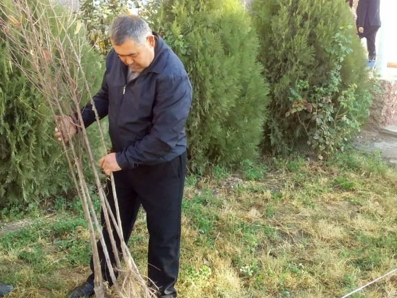 yashilmakon_11_11_21_ichi5