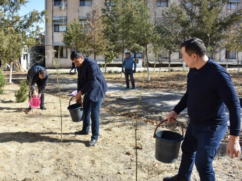 yashilmakon_11_11_21_ichi7