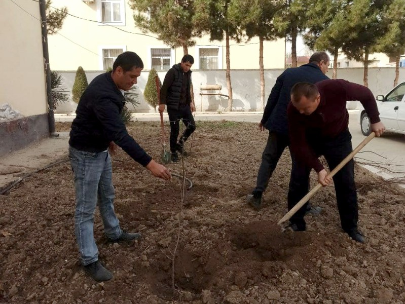 yashilmakon_11_11_21_ichi8