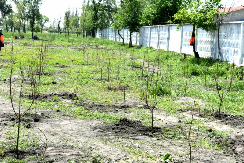 yashilmakon_26_04_22_ici10