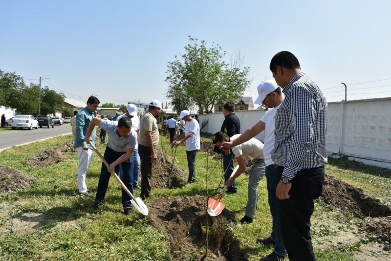 yashilmakon_26_04_22_ici3