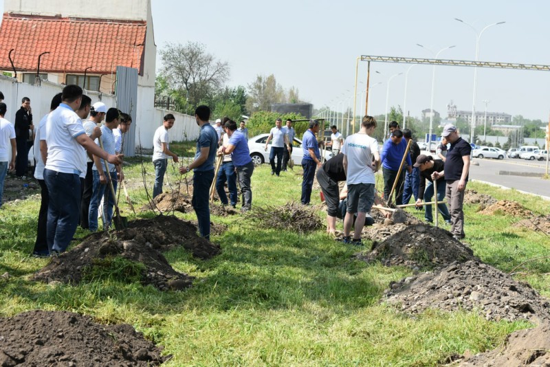 yashilmakon_26_04_22_ici5