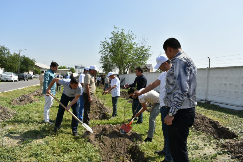 yashilmakon_26_04_22_ici8