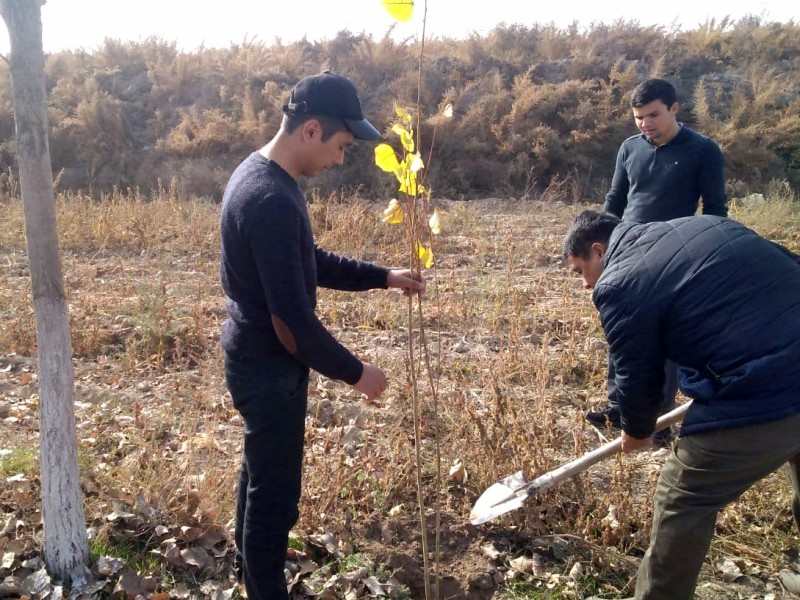 yashna_19_11_21_ichi5