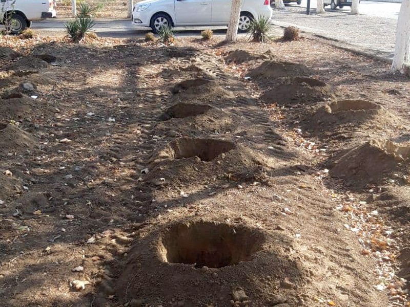 yashna_19_11_21_ichi6