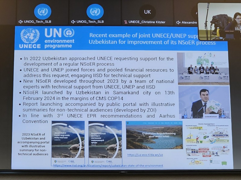 1-1g52jnfgnfgn1fgjhn_p74731