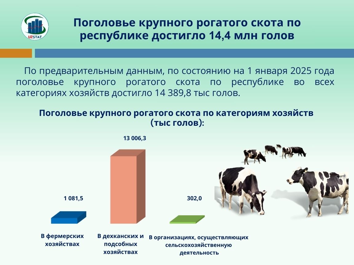 115-jirik-rus_p69409