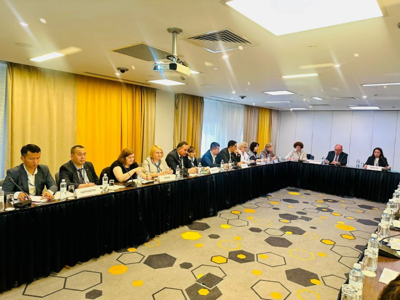 2-photo_5418266411622588062_y