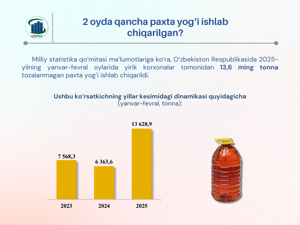 292-paxta-yog_p79733