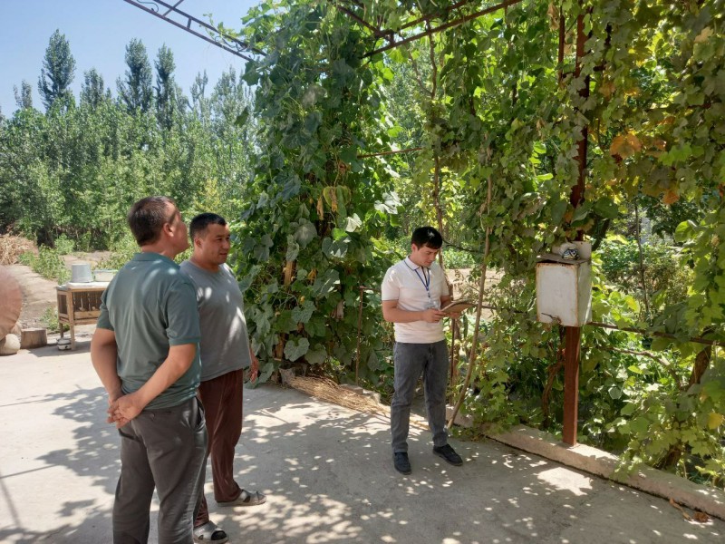 3-16082024lorlroimg_20240812_162752_631_p35459