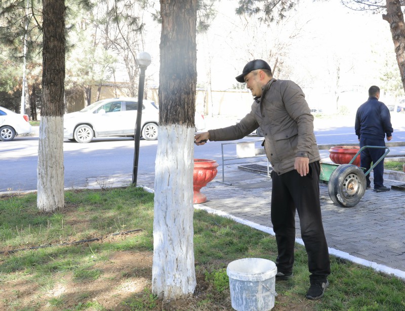 3_erfg45fg4dfg4d4hfg4h_p16577