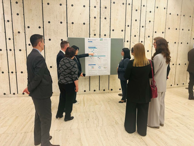 5244495320476414217-2_p80260