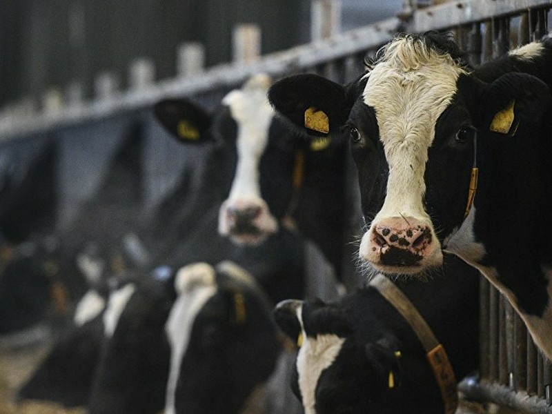 5f52wef2we2fwe2_p32374