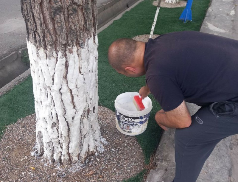 9_photo_2024-08-24_08-42-02_p63723