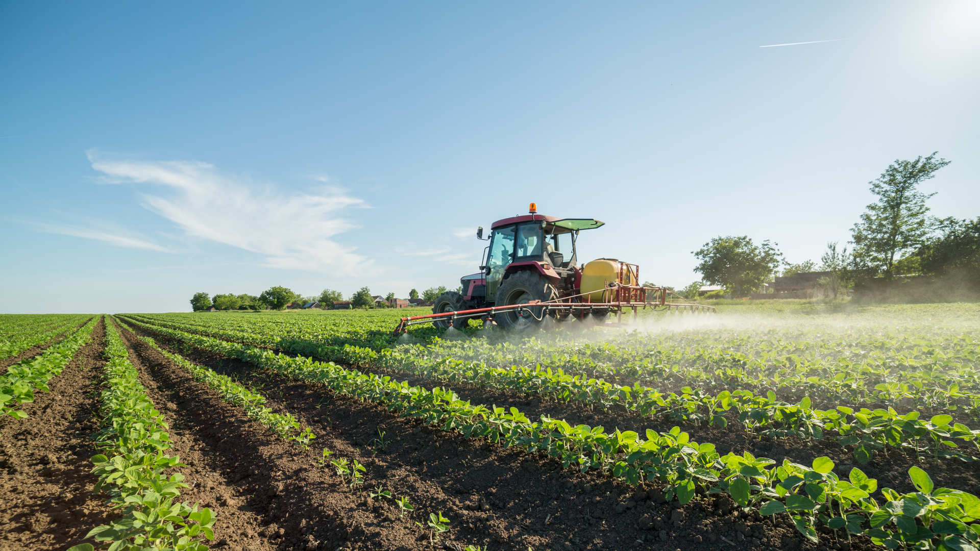 agro_p69059