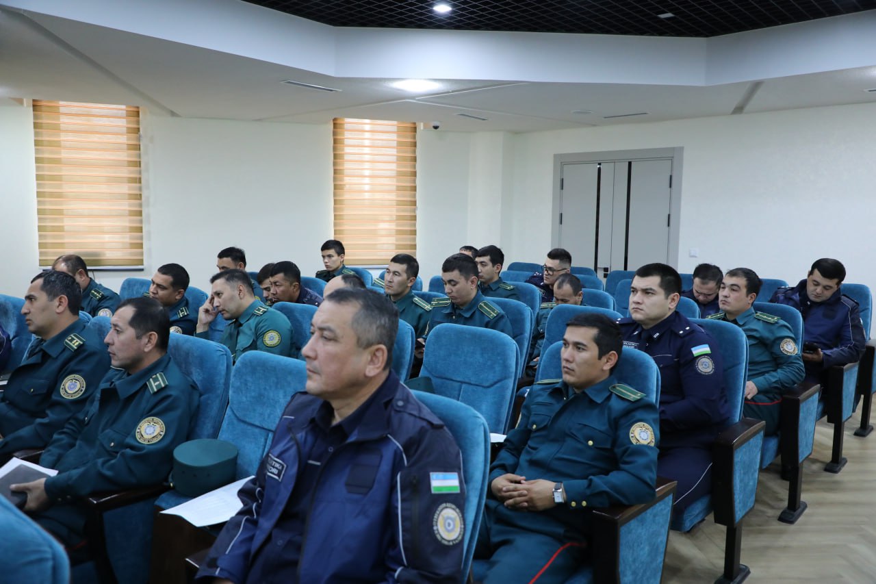 photo_2025-10-23_18-30-19_p50663