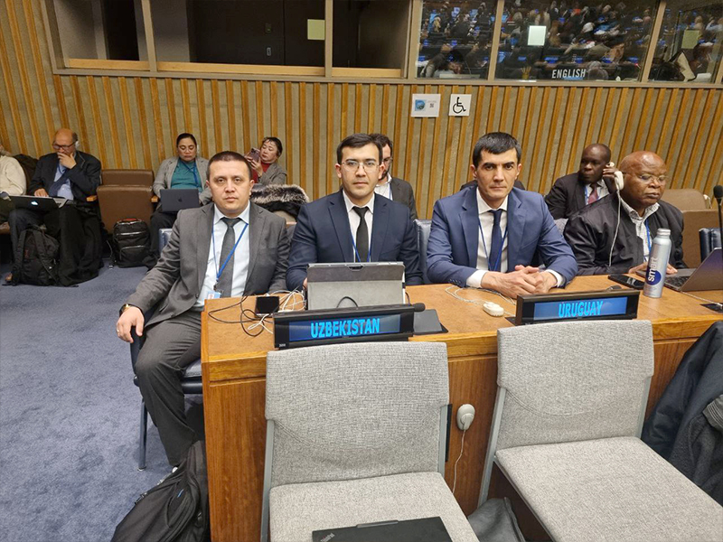 photo_2025-03-14_16-23-15-vcvcvcvc_p29766