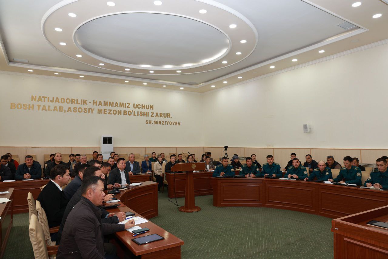 photo_2025-10-20_12-52-16_p98808