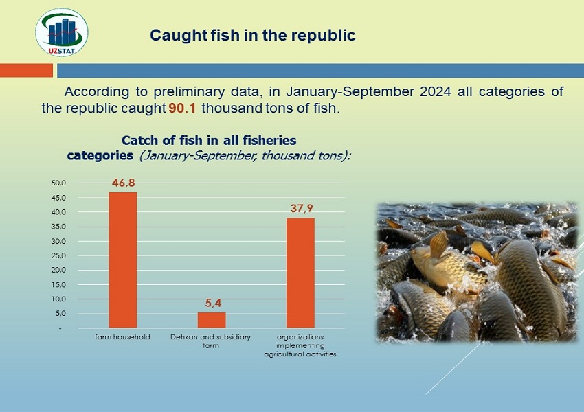 slajd12-ovl_bali-angl