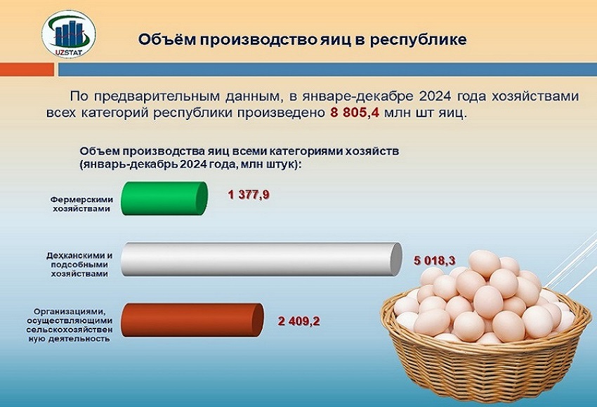 slajd20-tukhum-rus_p55269