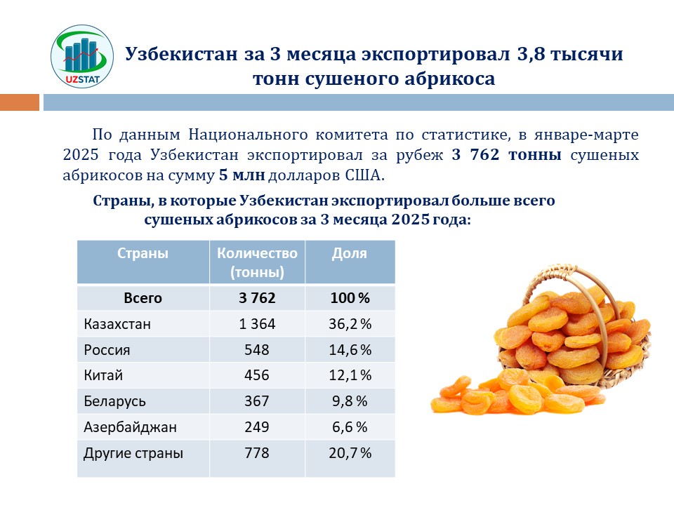 slajd3-rik-01_05_p51791