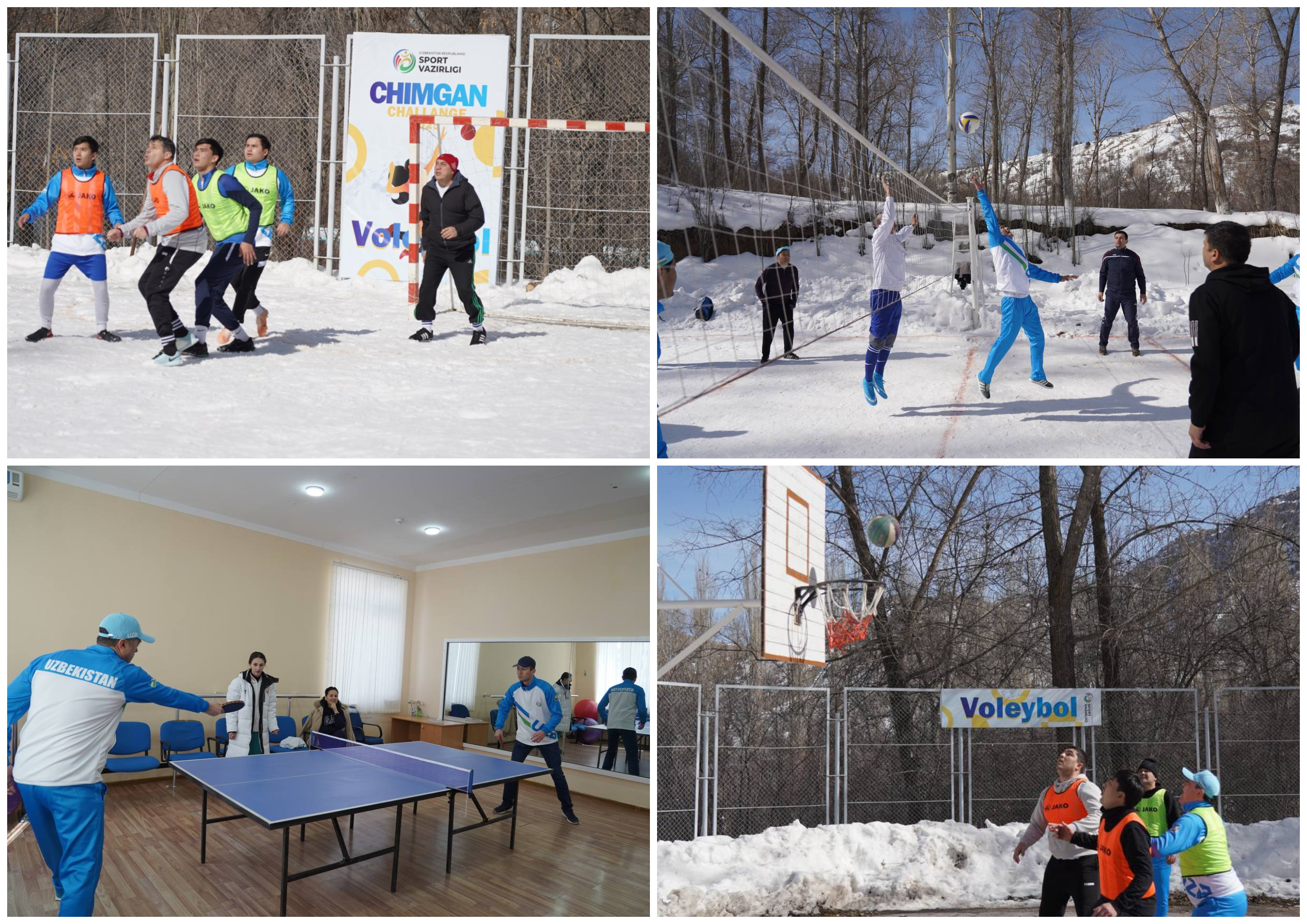 sport-turlari-2-rasm_p26573