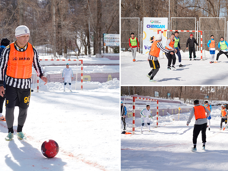 sport-turlari-2-rasm_p90282