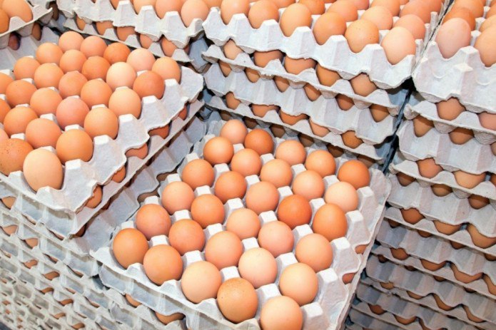 tukhumni-rasmi-05_09_25_p36743