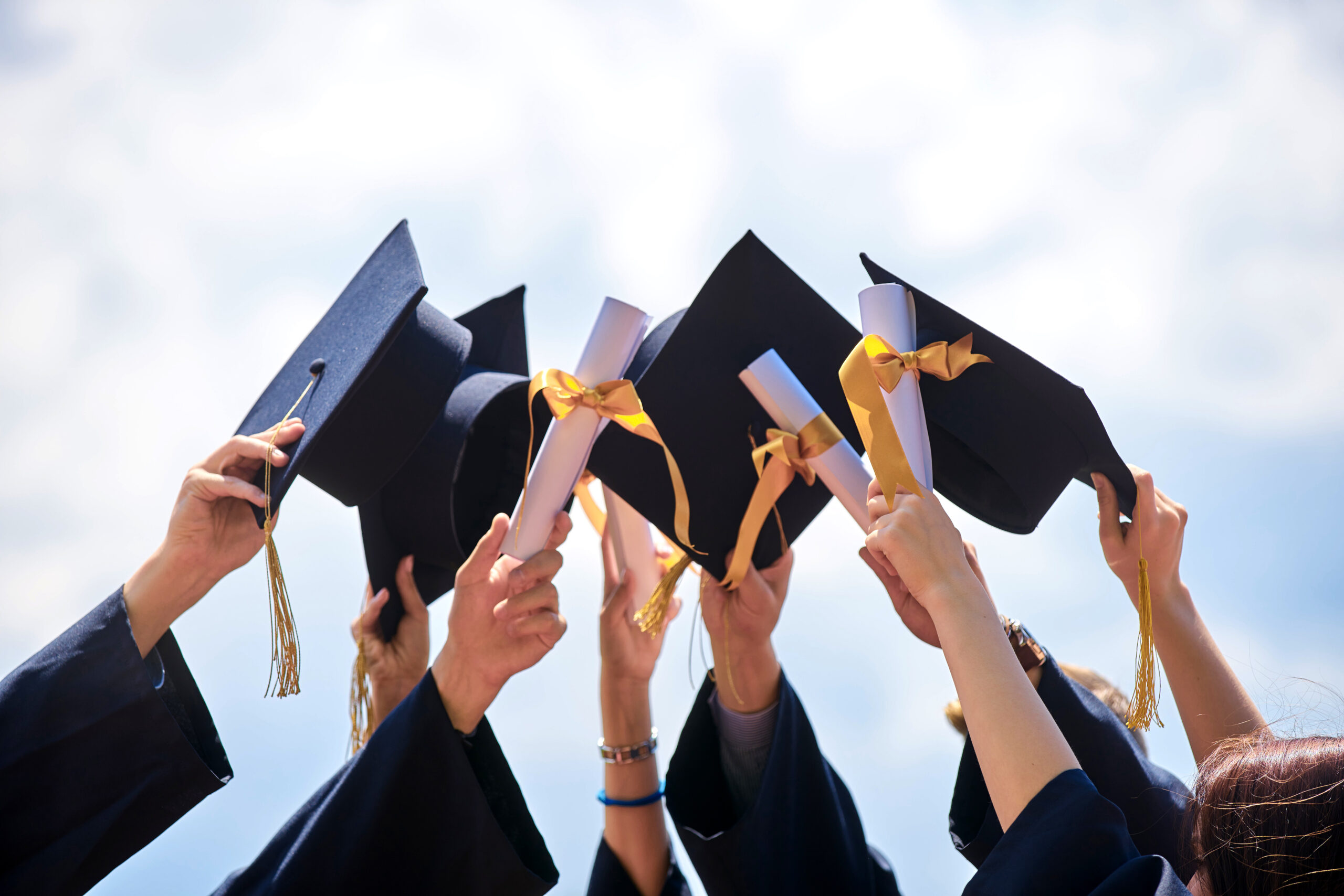 universities-scaled-1_p47185